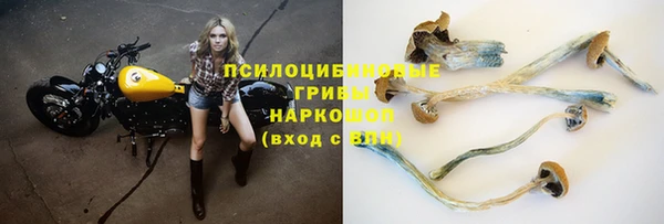 амфетамин Новозыбков