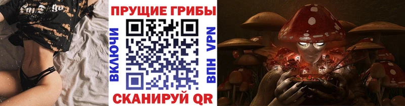 Псилоцибиновые грибы Cubensis  наркотики  Туринск 
